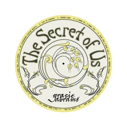 The Secret of Us Vinyl Slip-Mat